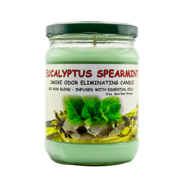 BLUNTEFFECT ODOR CNDLE EUCALYPTS SPARMNT 13OZ