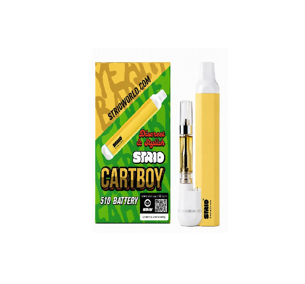 STRIO CARTBOY YELLOW BATTERY DK5666-3 6CT