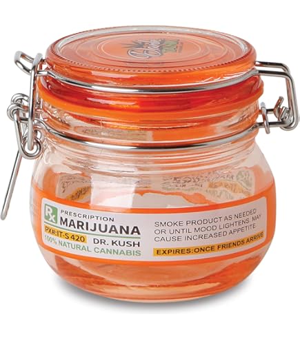 FUJIMA STASH STORAGE ORANGE GLASS JAR 500ML 1CT