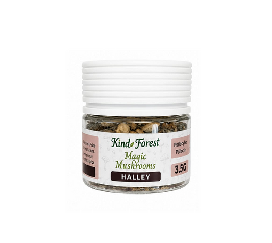MAGIC MUSHROM KIND FOREST HALLEY 3.5GM