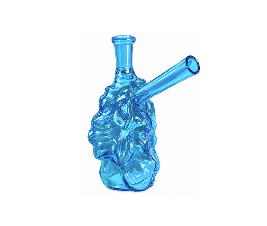 WP COBO24 BLUE