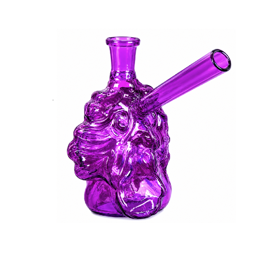 WP COBO24 PURPLE
