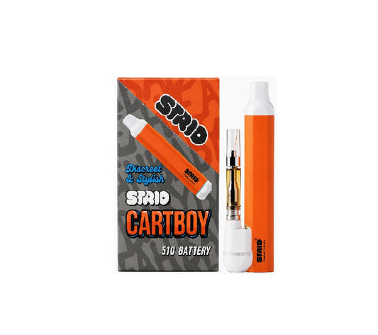 STRIO CARTBOY ORANGE BATTERY 6CT