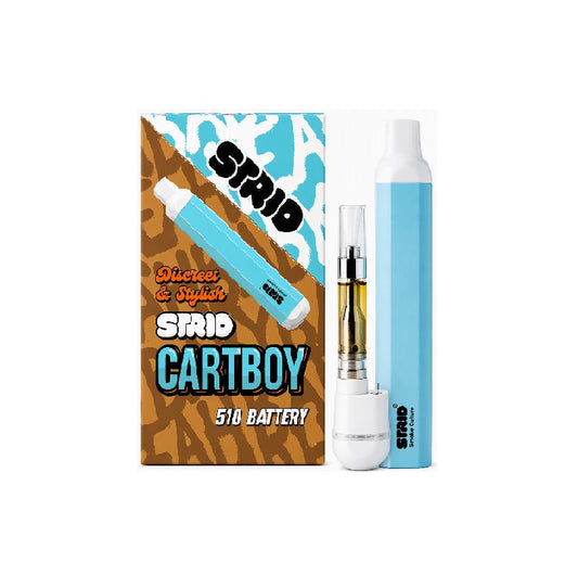 STRIO CARTBOY BLUE BATTERY 6CT