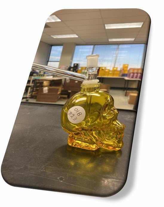 OIL BURNER BUBBLER SMALL SKULL BASE OLB823 5"