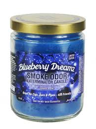SMOKE ODOR CNDL BLUEBERRY DREAME 13OZ 1CT