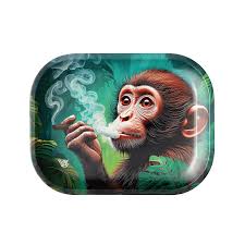 ROLL N GO SMALL MAGNETIC LID&TRAY MONKEY BUSSNES
