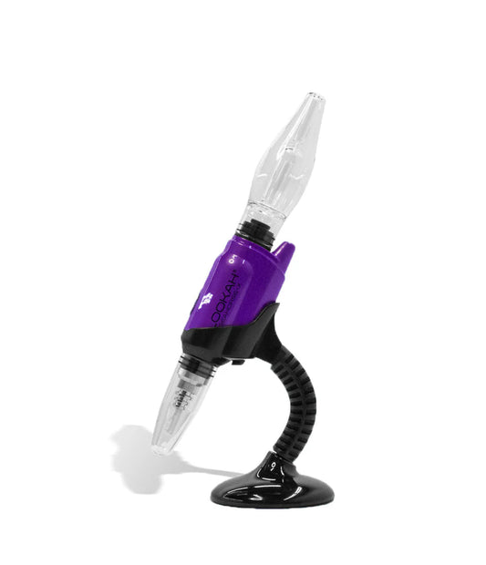 LOOKAH SEAHORSE XKIT PURPLE ALL IN ONE 1CT