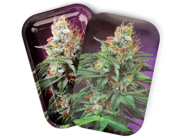 TRAY MEDIUM MAGNETIC OG KUSH 3D EYE CANDY
